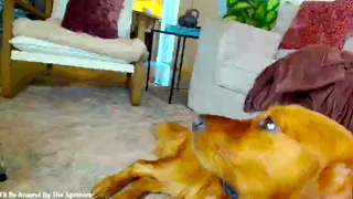 x_lily_x2026-06-26_2.mp4