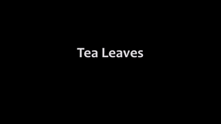 2014-11-13 - Molly Jane - Tea Leaves - [Pre-FamilyTherapy].mp4