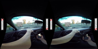Grand Theft Swallow X.mp4