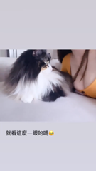 AQP3-vuyv1Gp8Am11ZJSTn_pacCVyYsVivYgsWOwjnuGSlA_UmW_mmhk1hB_tK8HrRIfV6cd6tNIIF33YiFf1BZ4SpQvtZ_Z.mp4