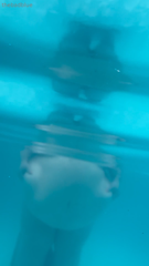 1173781636_floating-belly-fupa-of-your-dreams_0.mp4
