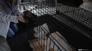 Pepper Hart - [KellyMadison.com] - Perfect Pet [19.05.17] - 1080p.mp4