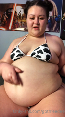 32284706_this-is-what-summer-is-like-for-a-hot-sweaty-pig-even-wi_0.m4v