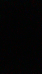12472458-d1b82894140a30737ed51f1e38b1022b.mov