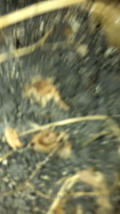 5d26a2c74c5e3afa733ad.mp4