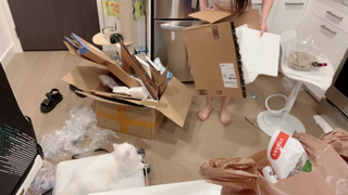 TCD_1661229412577.mp4