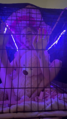Hidden _ Library (1).mp4