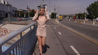Diana - Little Brown Dress.mkv