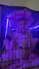 Hidden _ Library-2 (1).mp4