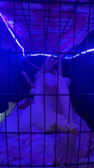 Hidden _ Library-7.mp4