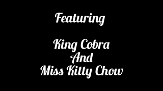 ManyVids - My Pussy's Not Used to That Fat Cobra Dick.mp4
