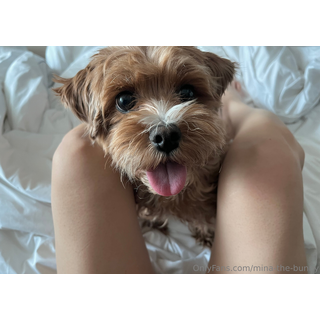 Cozy Sunday morning 💗Come say hi to us 🐶.jpg