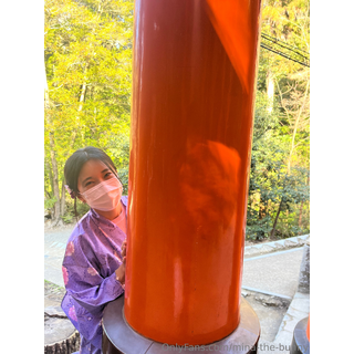 Happy Lunar New Year!! 🧧Wishing you good fortune in the Year of the Red Horse ❤️.Mina in Kyoto 🐰.jpg