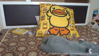 23235974_stream-started-at-05-12-2020-07-43-pm_0.mp4