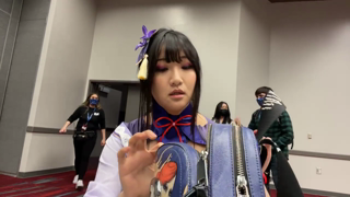 AriaSaki - Raiden Shogun 3.mp4