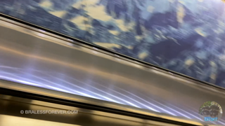 Rocky - Rocky Airport Footage.mkv