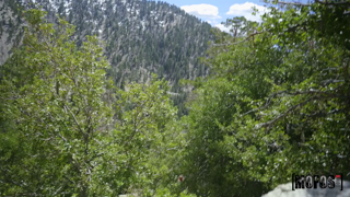 Pepper Hart - [PervsOnPatrol.com] - Natural Habitats - 1080p.mp4