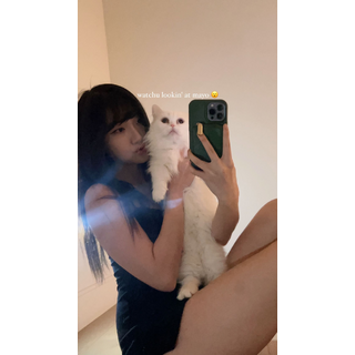 Snapinsta.app_339368259_1685830721878332_5414009286530161428_n_1284.jpg