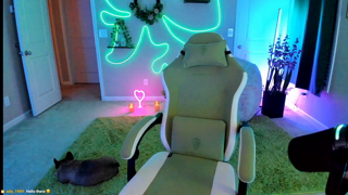 Skylar Vox Stream Collection