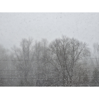 3840x2880_61b393f76f41f8ffeffd3ecf9d53403c.jpg