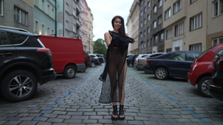 Alissa - Black Sheer Dress.mkv