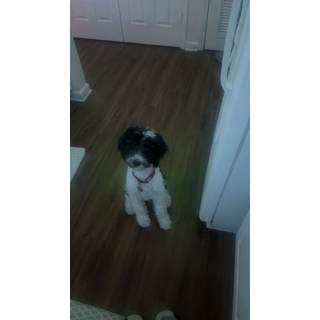 @mel327537-Videos-2026-05-14_0101-dumppp-#fyp-7639608093789392159-13.jpeg