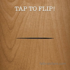 255988169_flip-the-coin-tip-5-to-flip-tails-your-choice-of_0.mp4