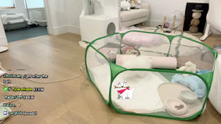 TCD_1694850433306.mp4