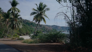 Tropical Sensual.mp4